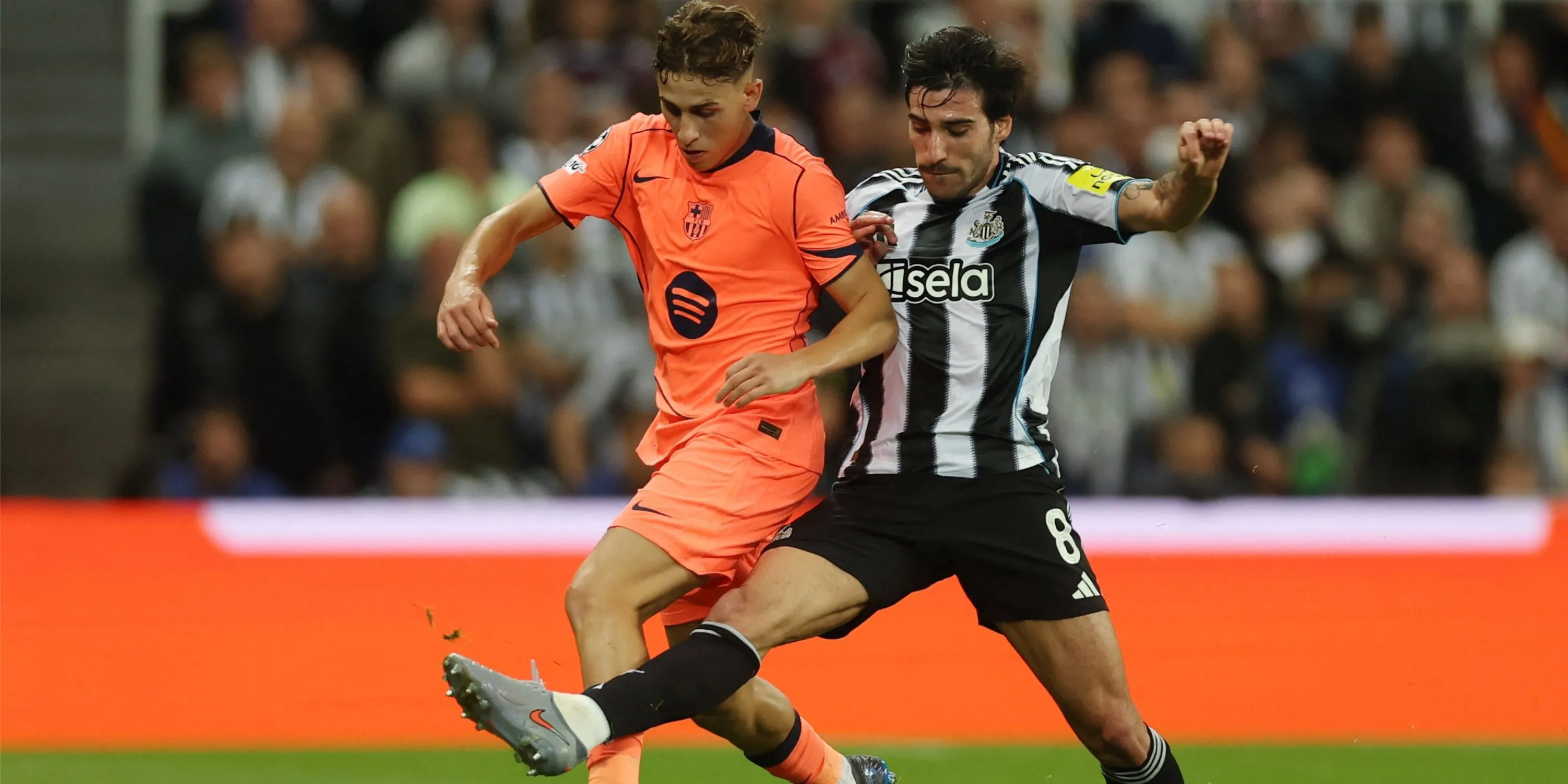 Sandro Tonali tiền vệ Newton